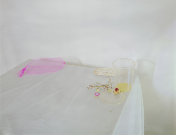 Laura-Letinsky-Untitled__5_1996_To_Say_it_Isn_t_So-580x446