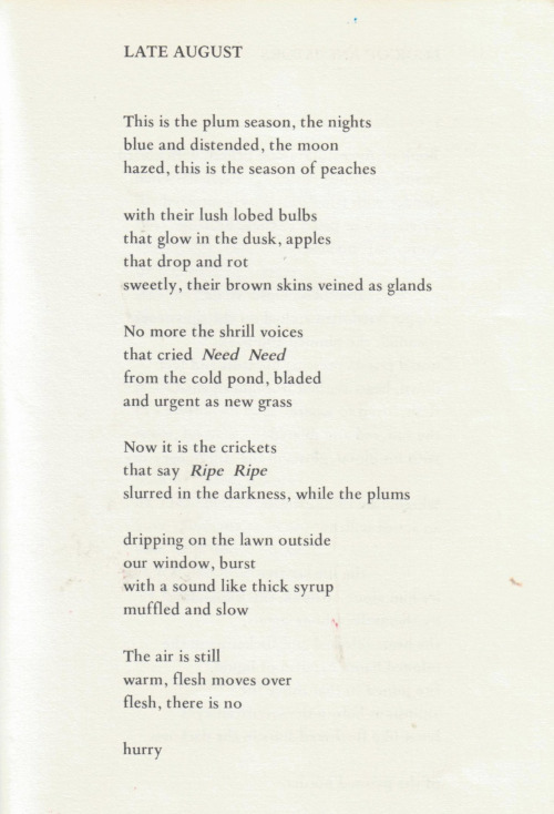 margaret atwood