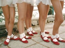 0690c03f039d7621132e6089566f1c2d