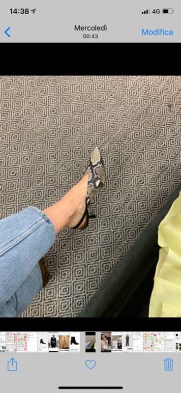 53732601_459108484913535_3958594644312326144_n