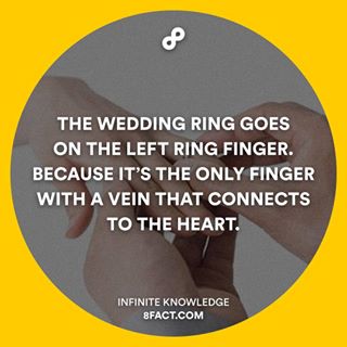 12081299_1666497206899788_1977150147_n