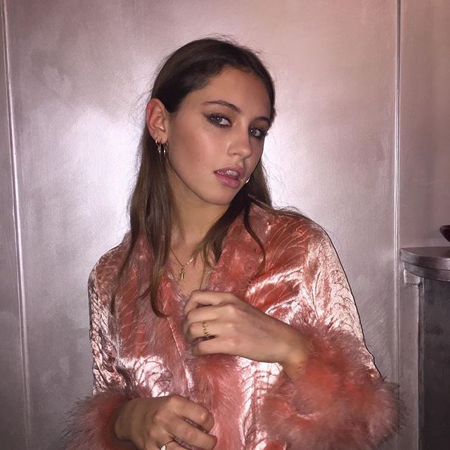 iris law