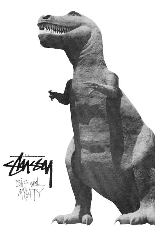 stussy-fall-2017-campaign-03